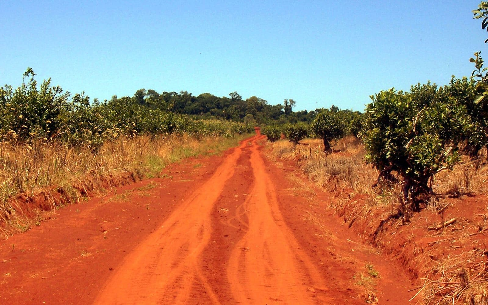Camino de tierra colorada en Misiones